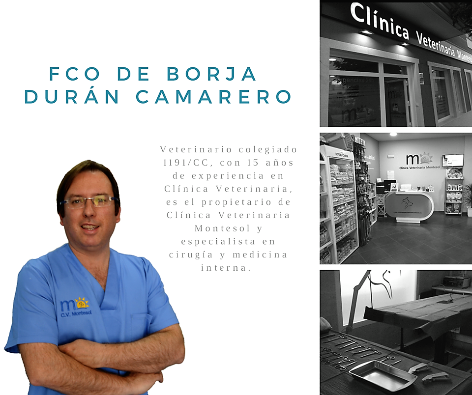 España Clínica veterinaria en Cáceres Montesol