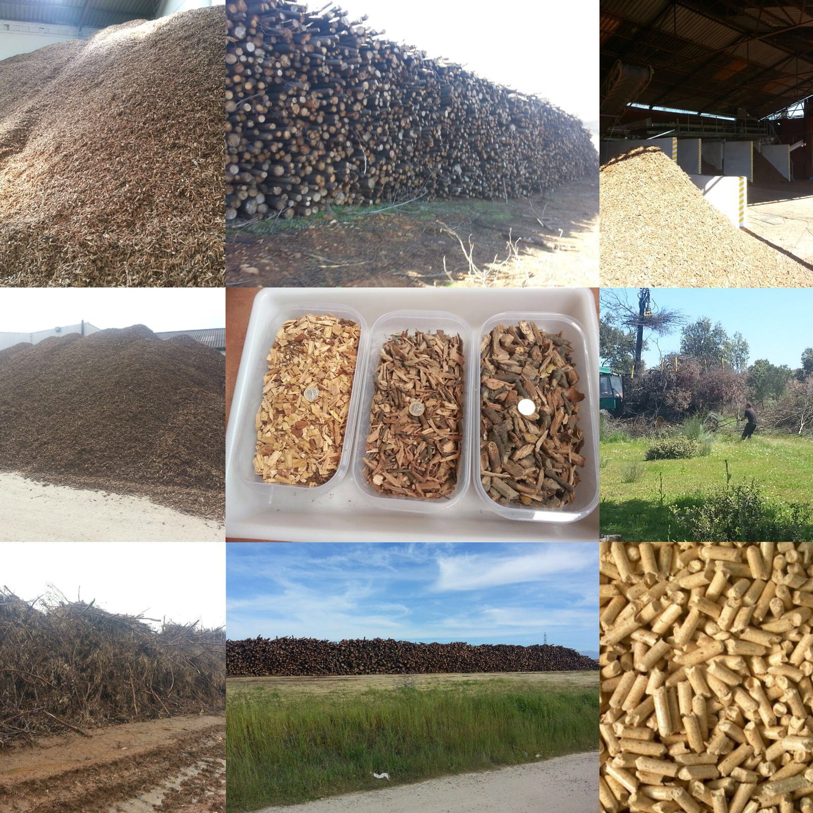 Fabrica España Pellet Biomasa Agrotabaco