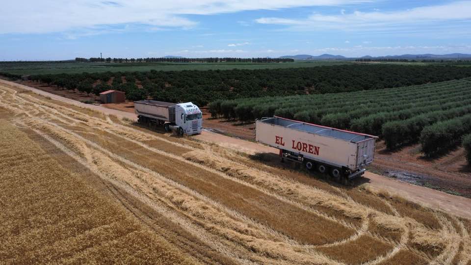 Empresa de Transportes en Mérida Extremadura El Loren-agrícolas , mercancías , construcciones , contenedores , arboles , explotaciones