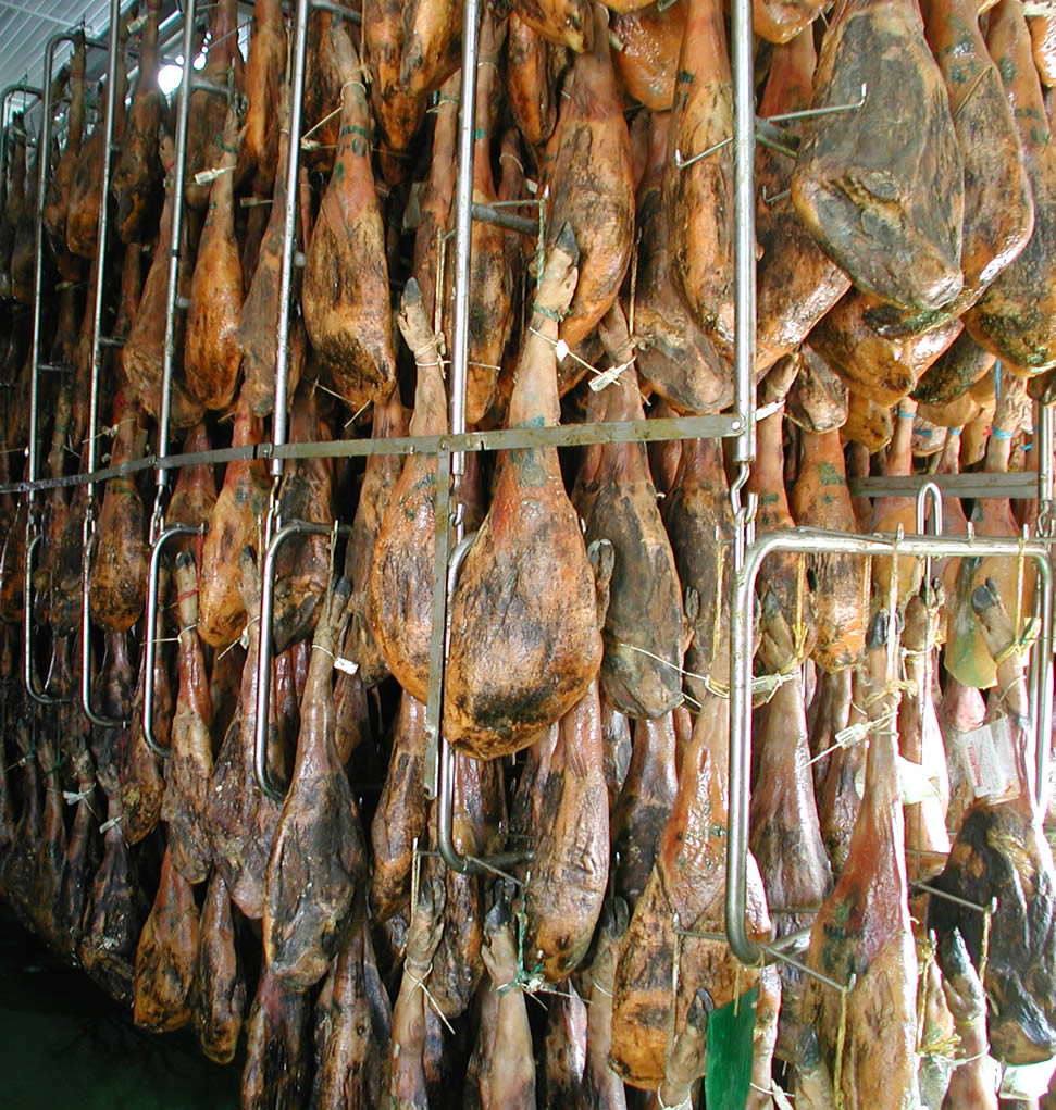 Distribuidor Mayorista de Jamones Paletas Embutidos Quesos Carnes en Extremadura Mérida Calamonte 