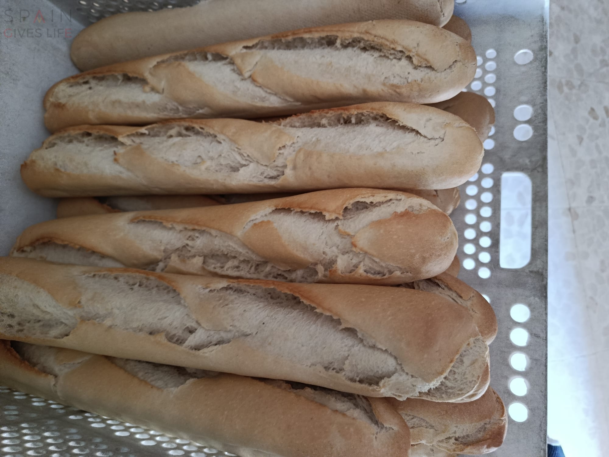 Obradores Distribuidores  de pan masa madre en Extremadura Miajadas Almoharin