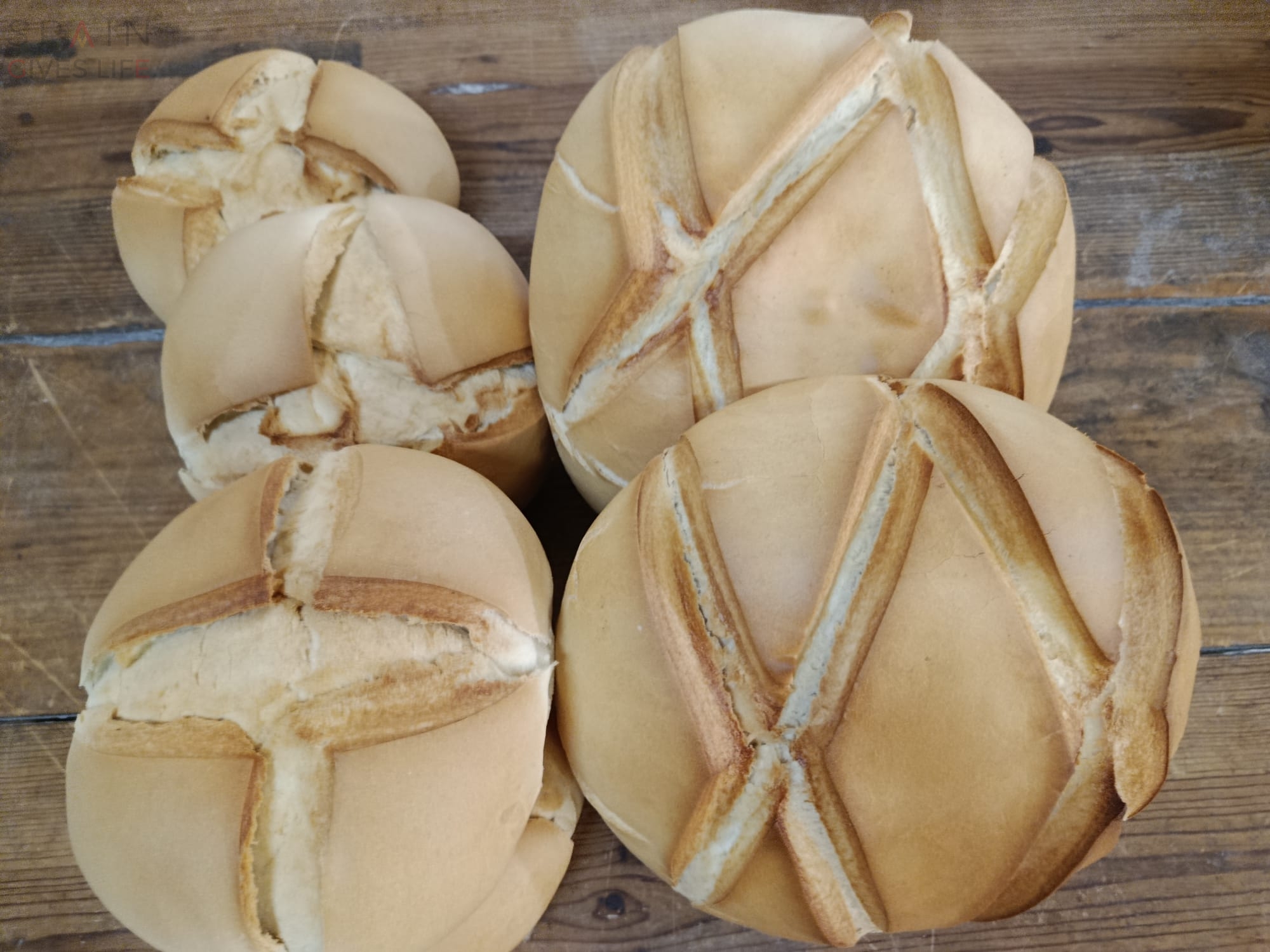 Obradores Distribuidores  de pan masa madre en Extremadura Miajadas Almoharin