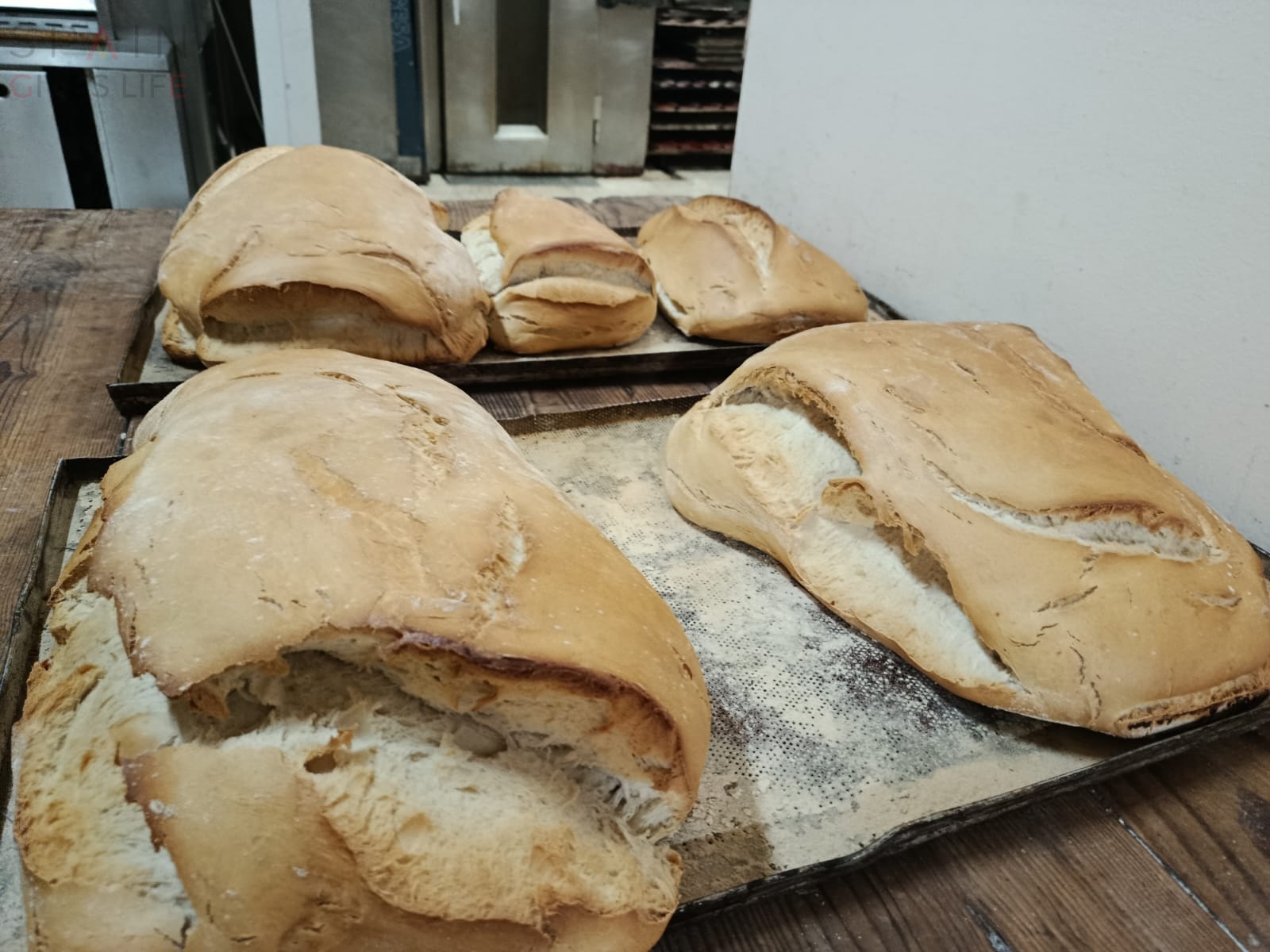 Obradores Distribuidores  de pan masa madre en Extremadura Miajadas Almoharin