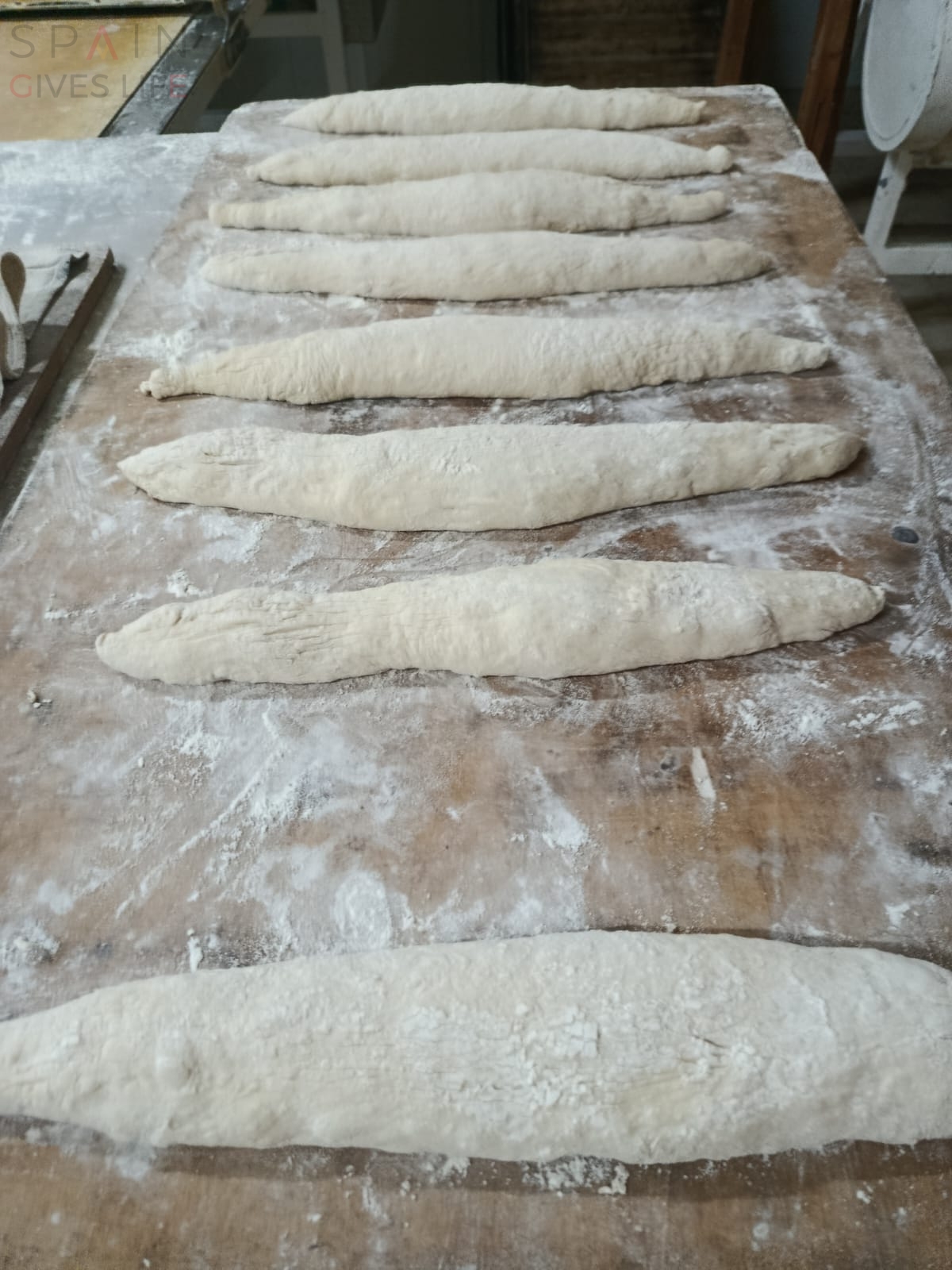 Obradores Distribuidores  de pan masa madre en Extremadura Miajadas Almoharin