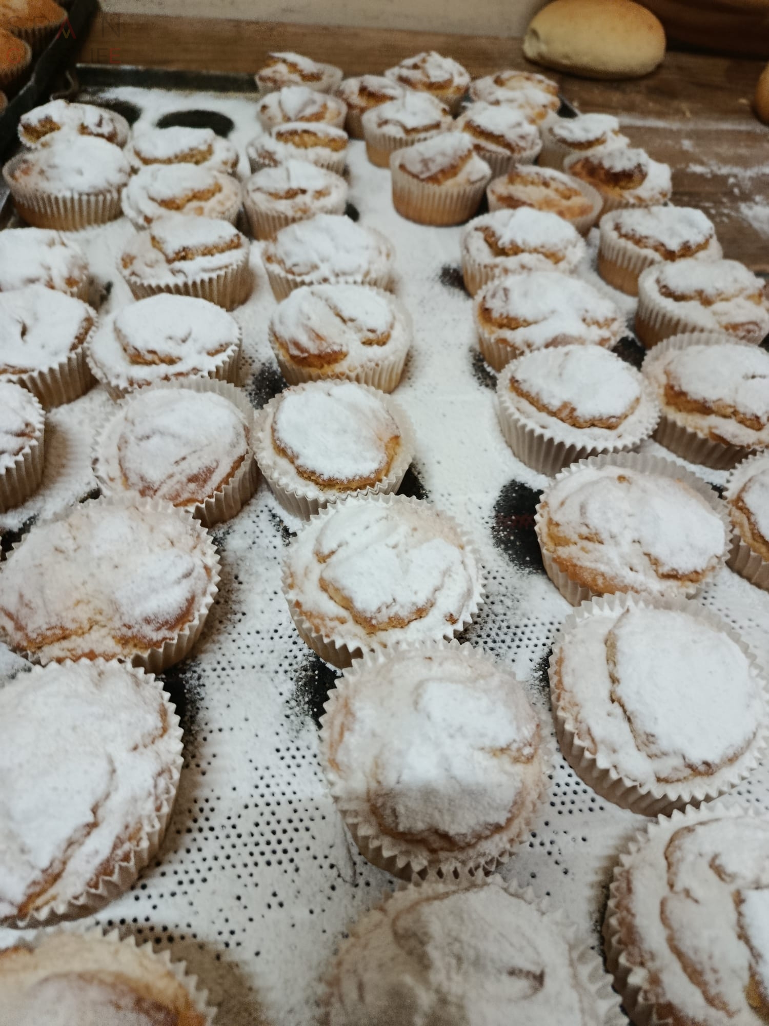 Obrador en Extremadura Miajadas Almoharin Montánchez Cáceres Badajoz 