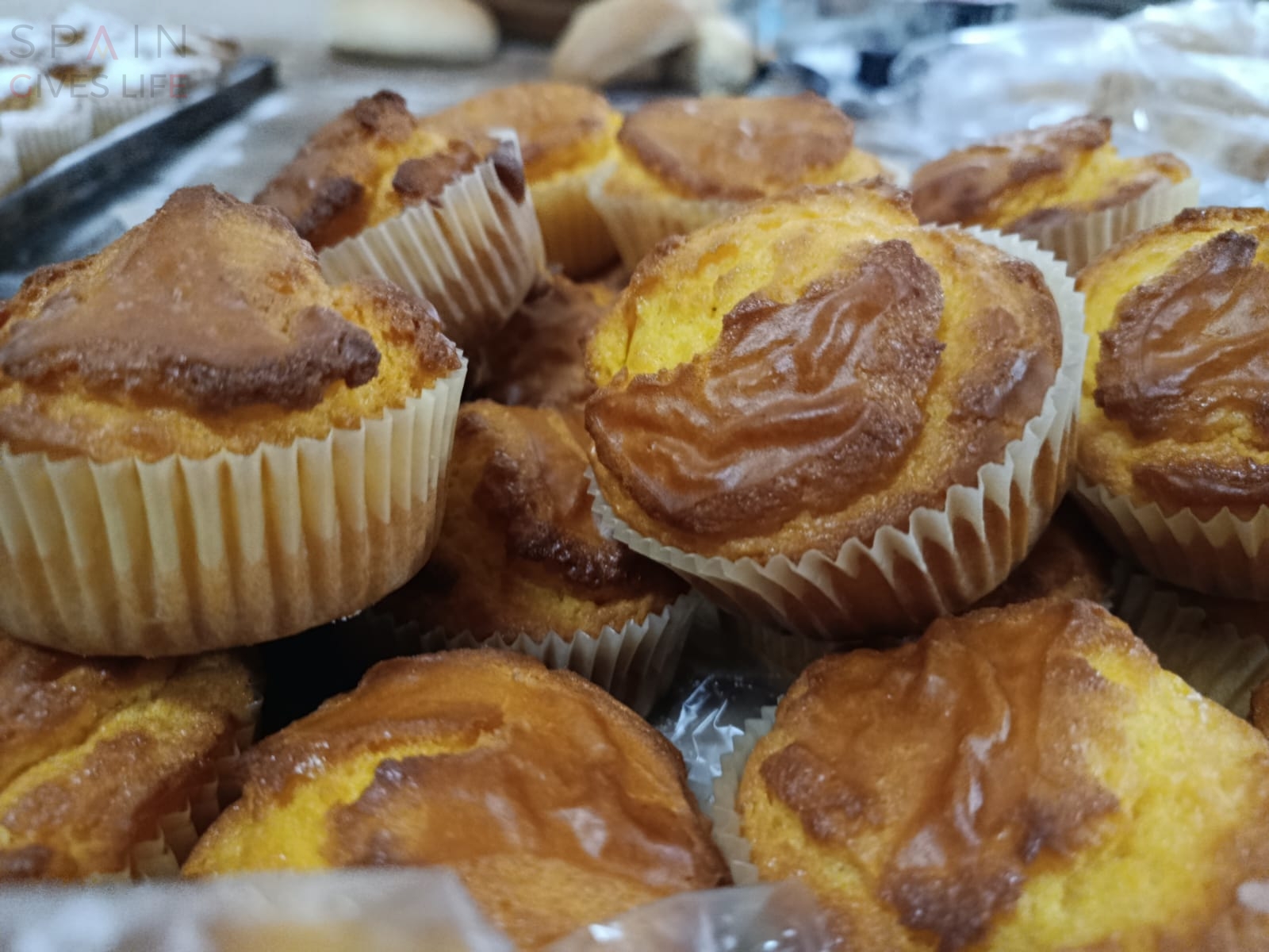 Obrador en Extremadura Miajadas Almoharin Montánchez Cáceres Badajoz 