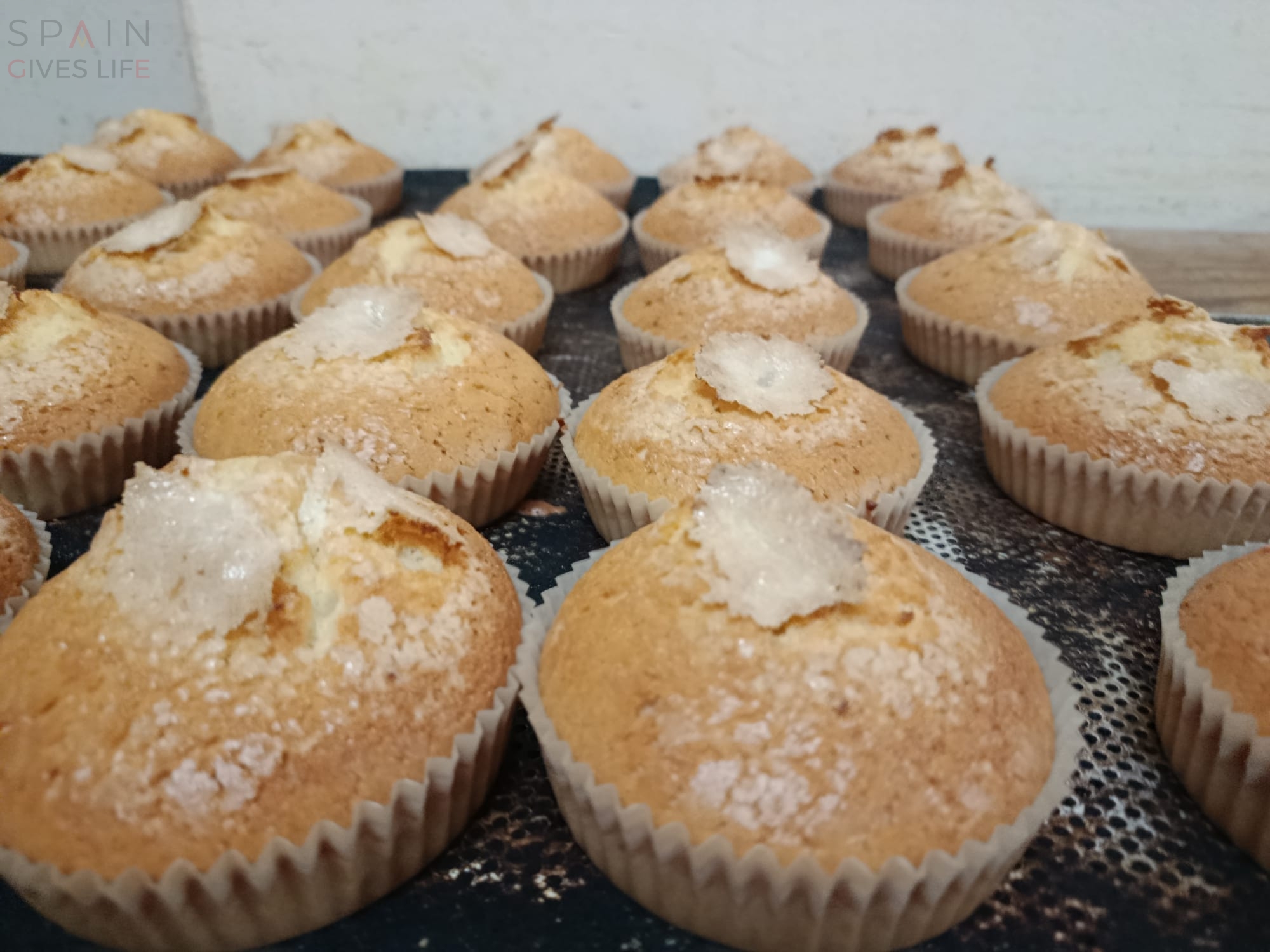 Obrador en Extremadura Miajadas Almoharin Montánchez Cáceres Badajoz 