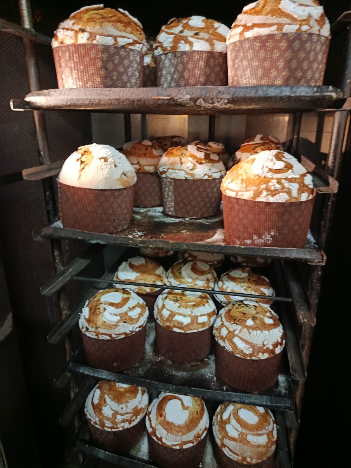 Obrador Pastelería en Montánchez Almoharin Miajadas Pan Real 