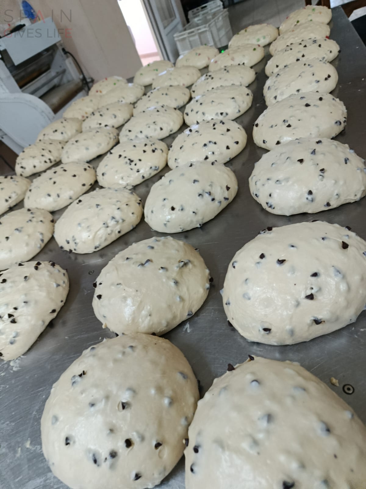Obrador Pastelería en Montánchez Almoharin Miajadas Pan Real 