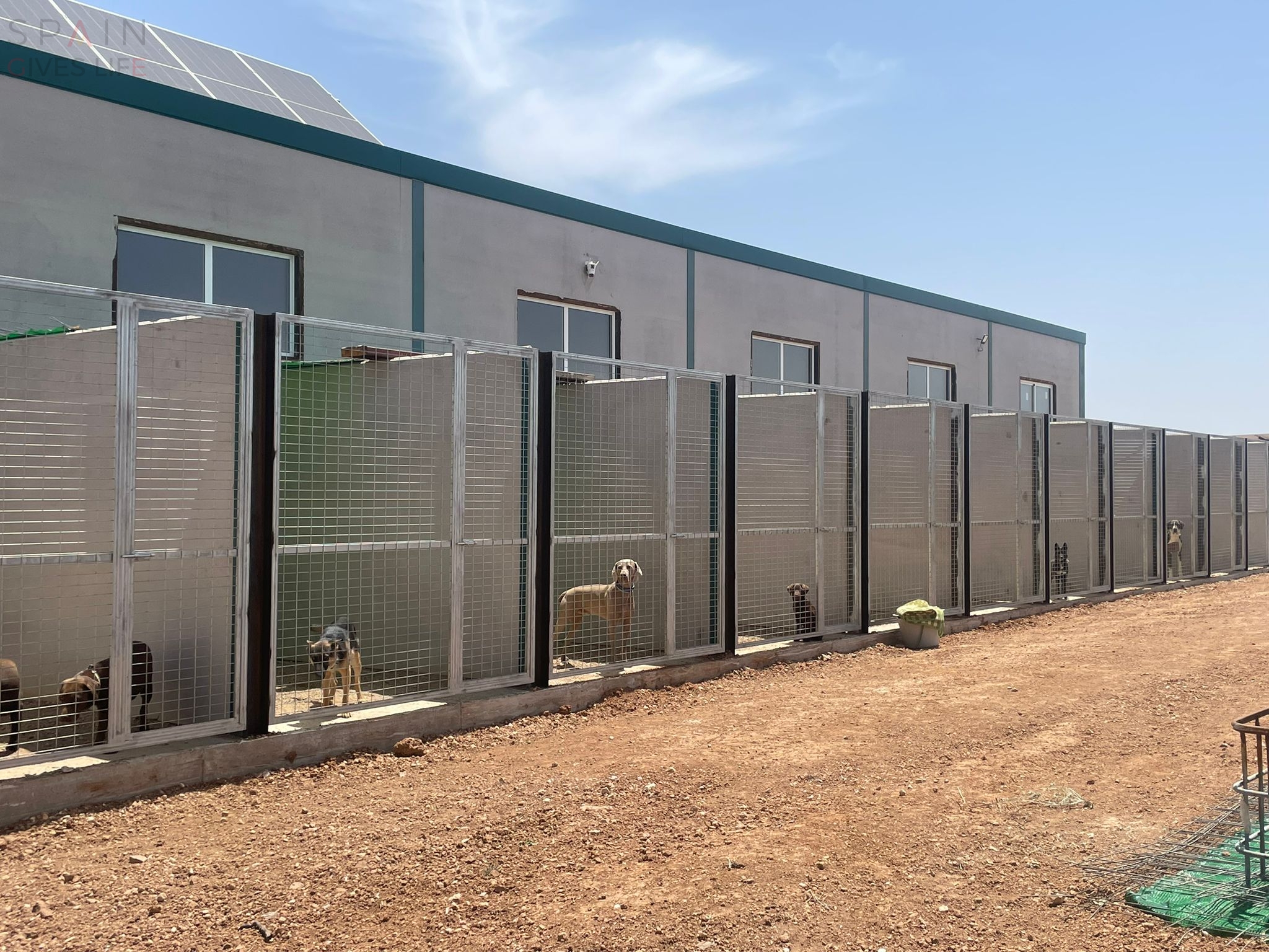 Residencia canina en Acehuchal Almendralejo La Laguna