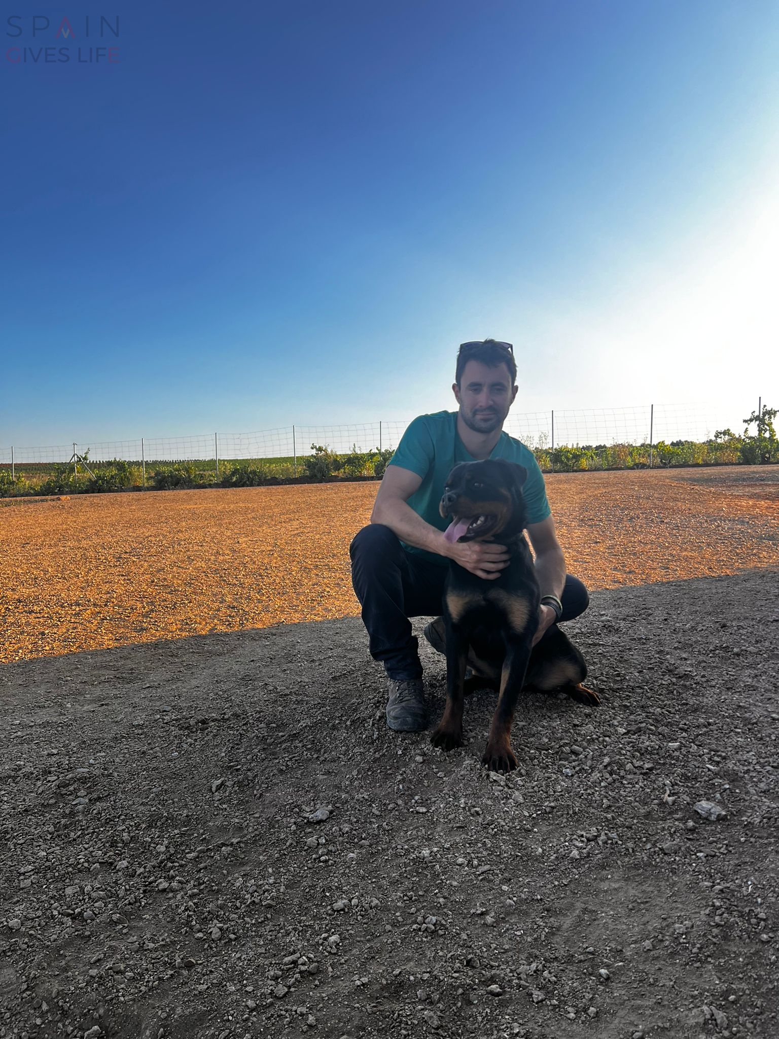 Residencia canina en Acehuchal Almendralejo La Laguna