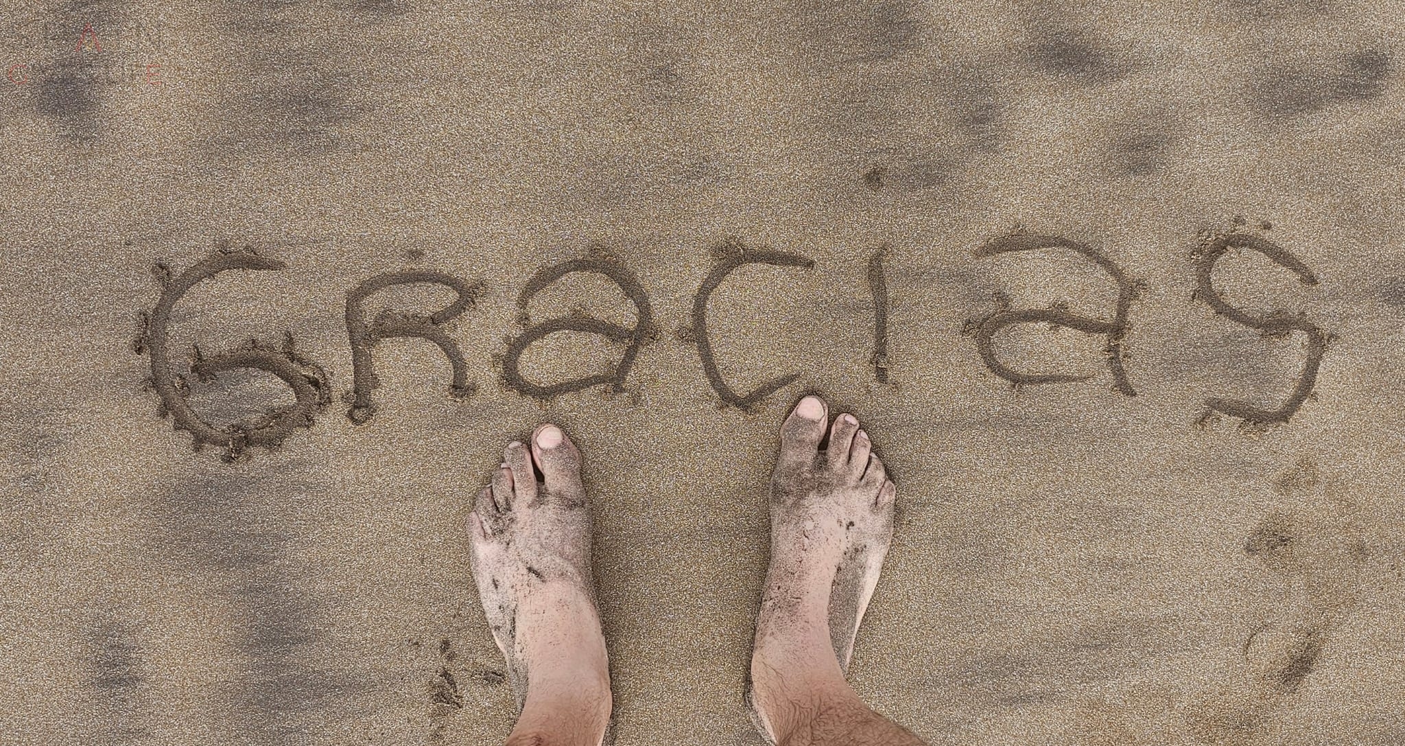 Agencia Viajes en Mérida Zafiro Tours en el Centro Comercial de Mérida 