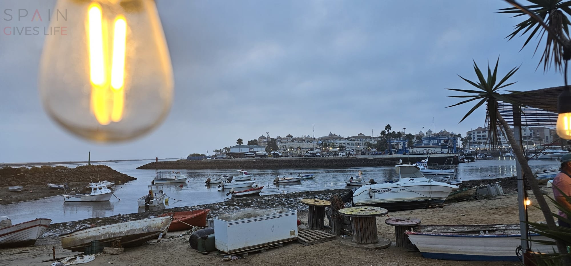 Agencia de Viajes Zafiro Tours Mérida Centro Comercial El Foro