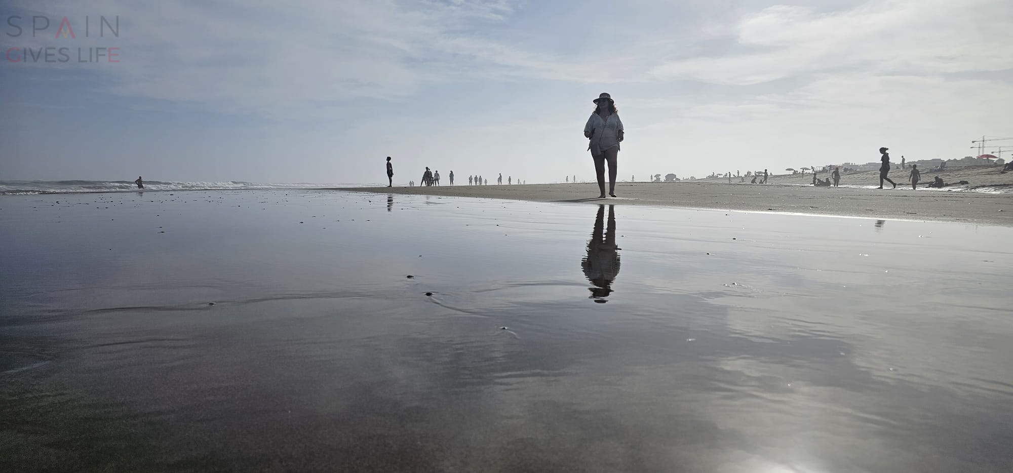 Agencia de Viajes Zafiro Tours Mérida Centro Comercial El Foro