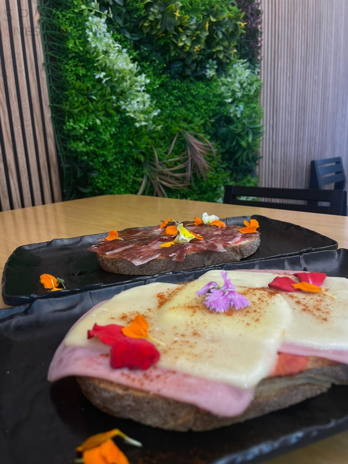 Pájaro Loco Restaurante Hamburguesería Bocatería Cáceres