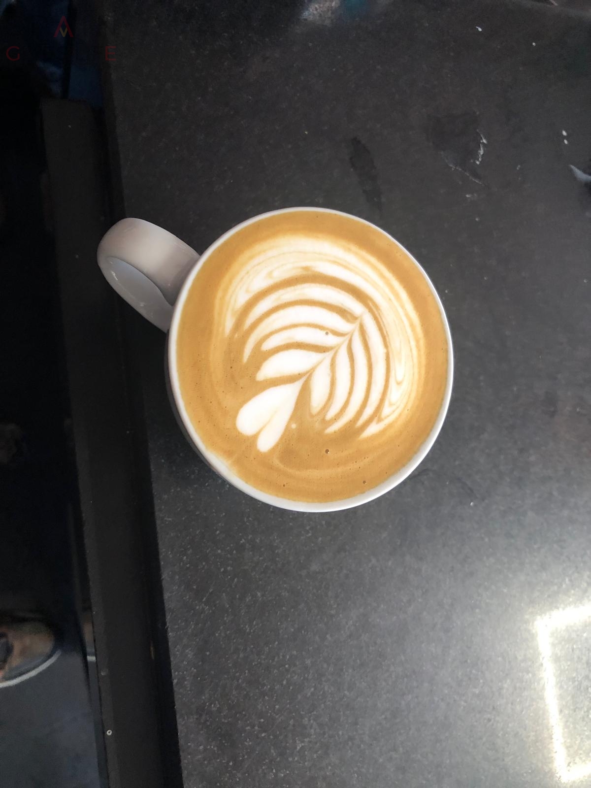 Pájaro Loco Restaurante Hamburguesería Bocatería Cáceres