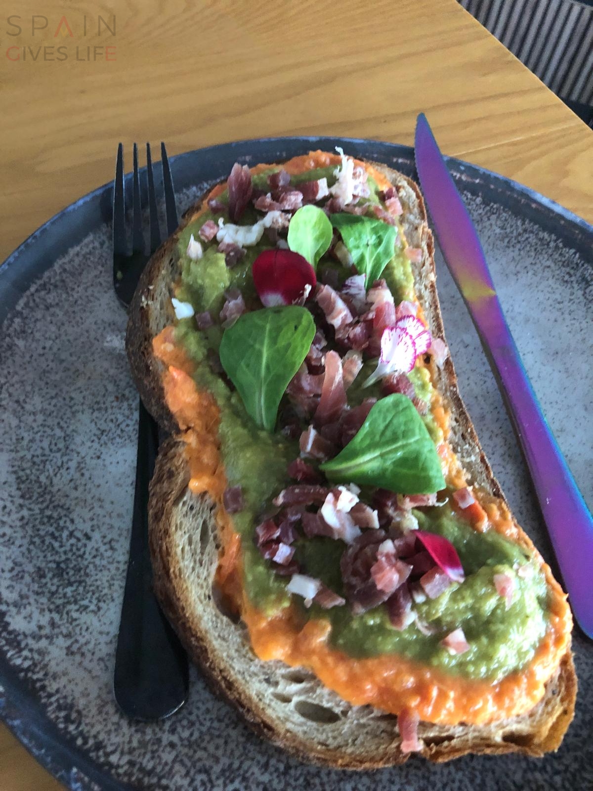 Pájaro Loco Restaurante Hamburguesería Bocatería Cáceres