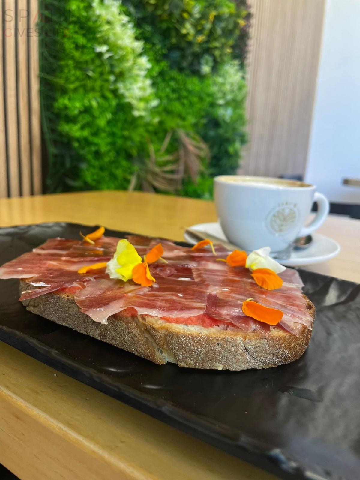 Pájaro Loco Restaurante Hamburguesería Bocatería Cáceres