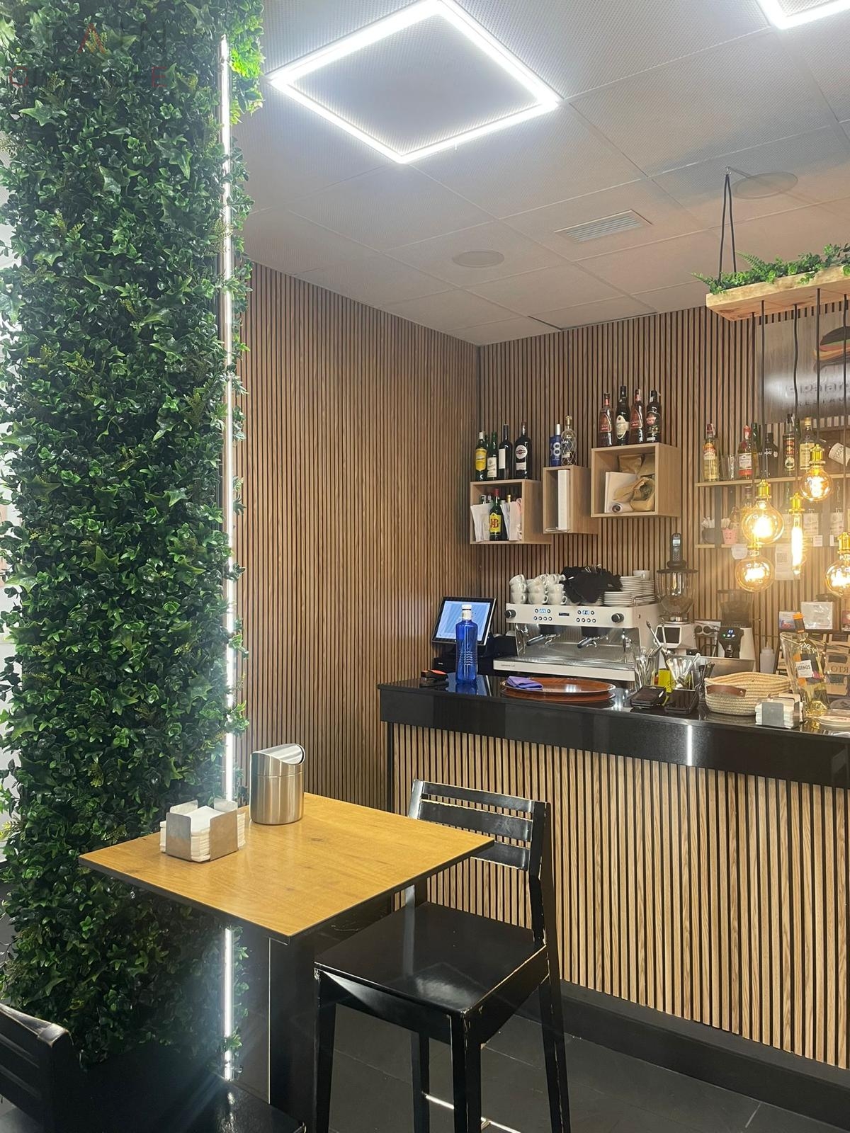 Pájaro Loco Restaurante Hamburguesería Bocatería Cáceres