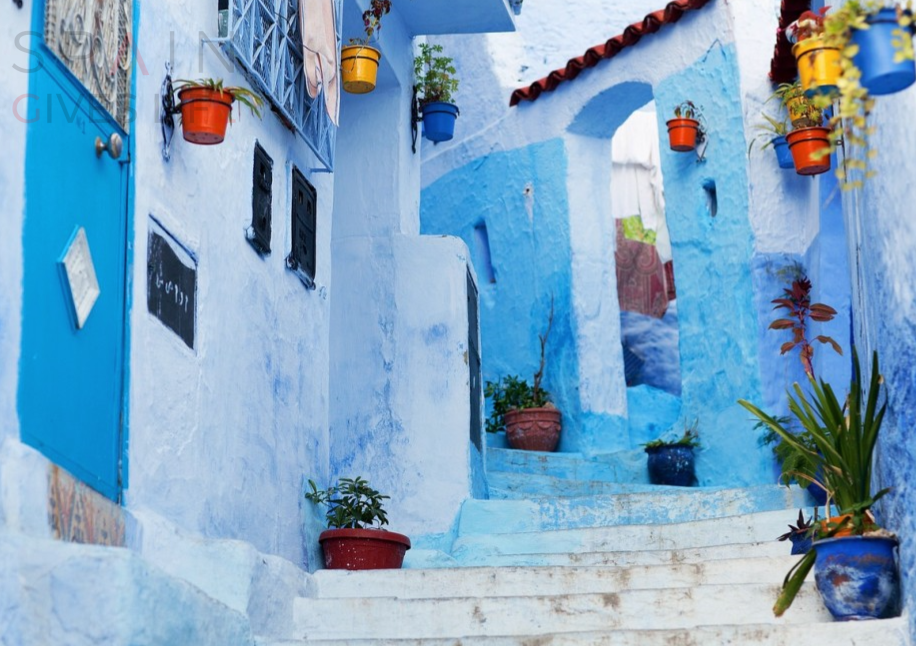 Pintores para comunidades en Mérida Carmona